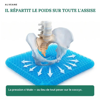 Coussin Gel Douceur - ALVEANE