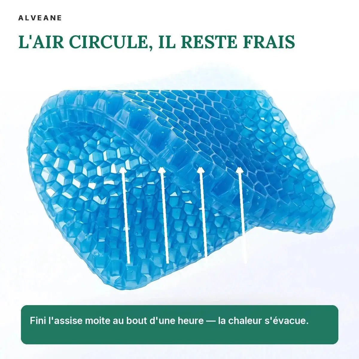 Coussin Gel Douceur - ALVEANE