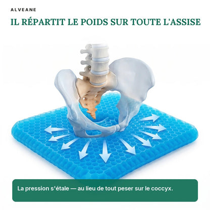Coussin Gel Douceur - ALVEANE