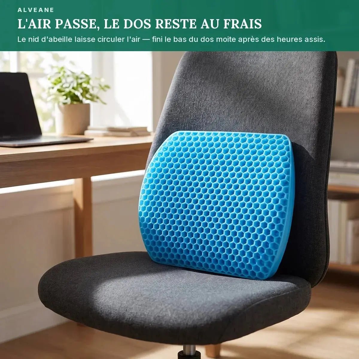 Coussin Lombaire Réconfort - ALVEANE